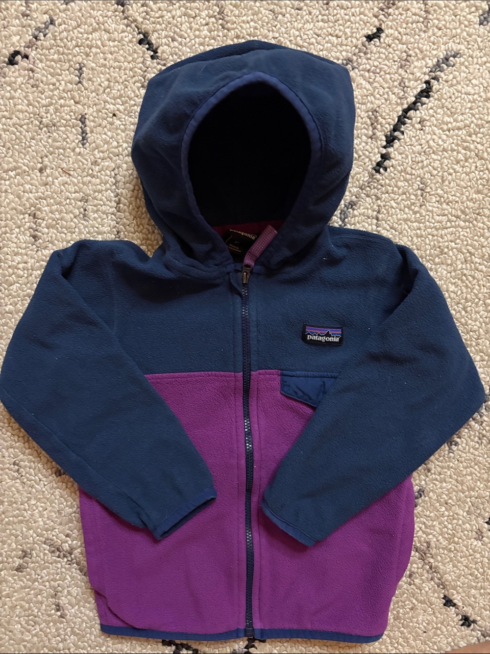 Patagonia kids Fleece Jacket (3T) EUC
